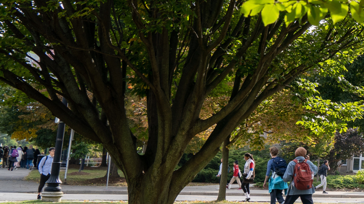 phd international relations in canada