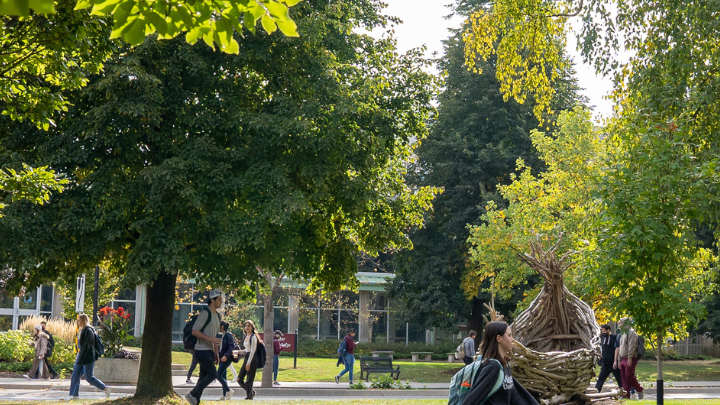 phd public policy in canada